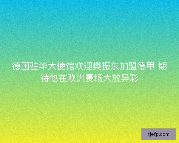 德国驻华大使馆欢迎樊振东加盟德甲 期待他在欧洲赛场大放异彩
